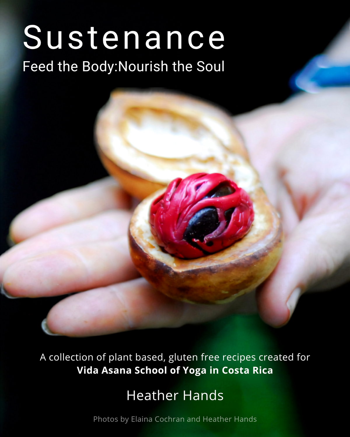Sustenance Cookbook, Digital Version