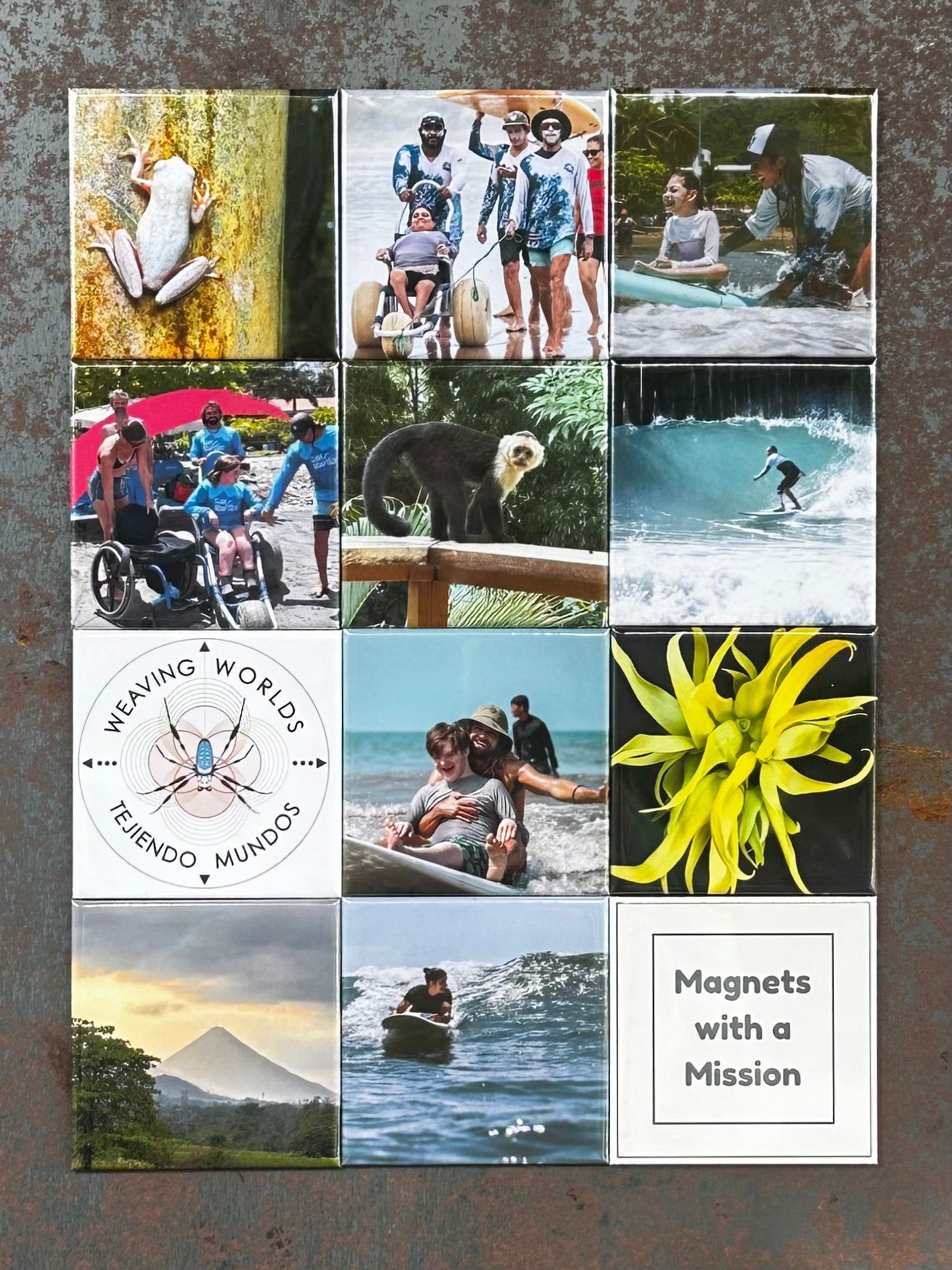 Costa Rica National Adaptive Surf Team — Donation
