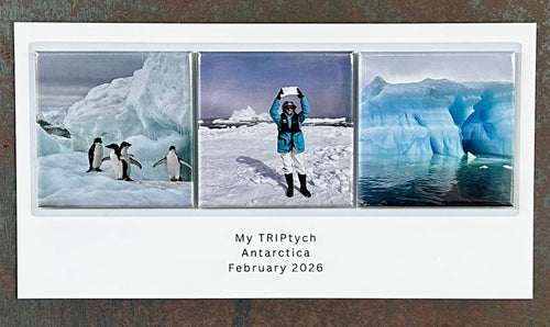 Make a TRIP-tych!