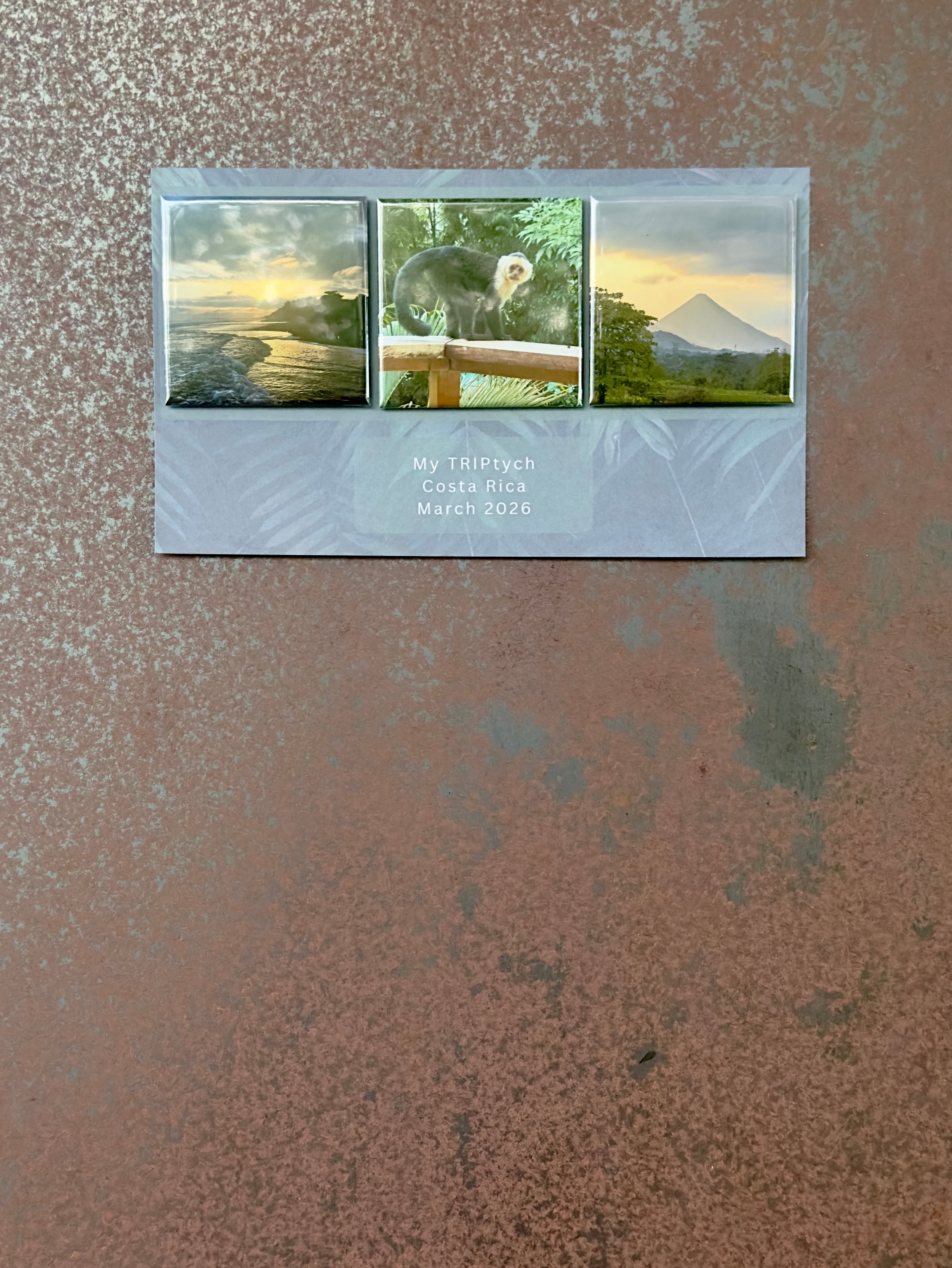 Make a TRIP-tych!